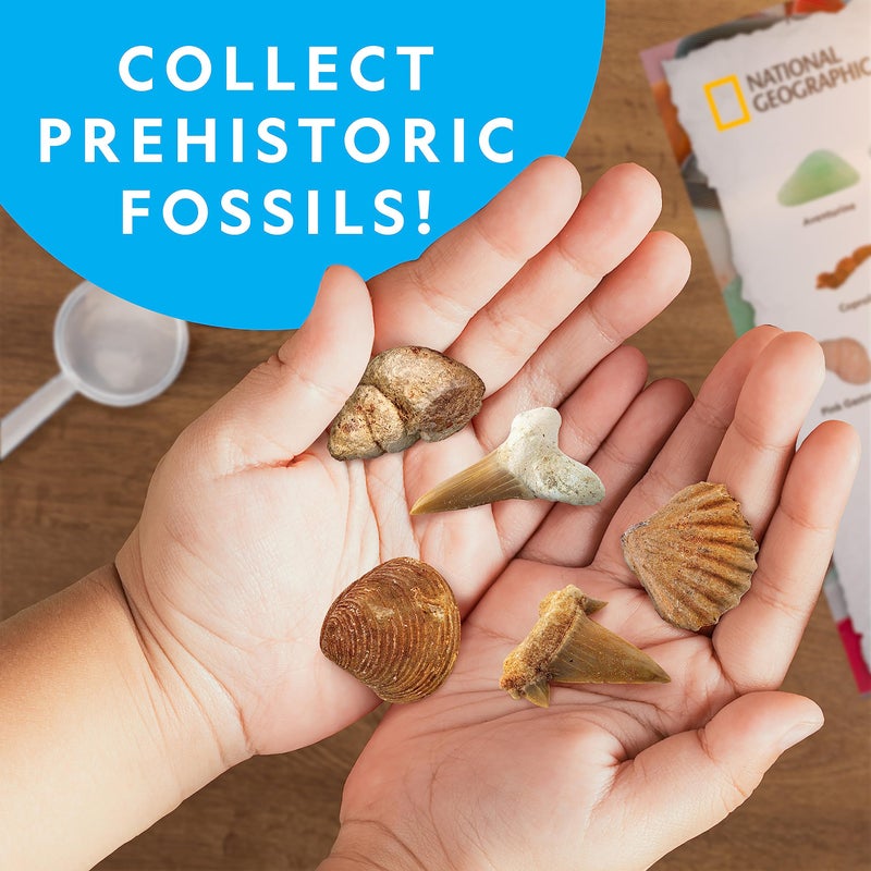 Blue Marble NATIONAL GEOGRAPHIC Rock Collection Box for Kids – 300 Piece Gemstones and Crystals Set Includes Geodes and Real Fossils, Rocks and Minerals Science Kit for Kids, A Geology Gift for Boys and Girls - Image 3
