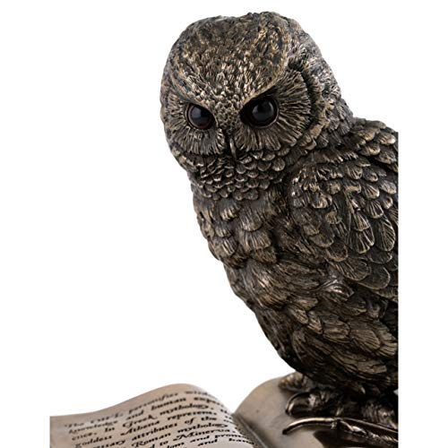 Top Collection Owl on Book Statue - Great Horned Owl Sculpture in Premium Cold Cast Bronze- 7-Inch Collectible Animal Figurine - Image 5