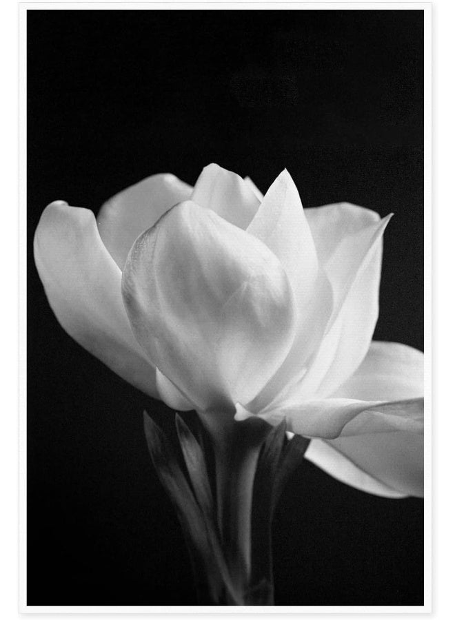 Home Trove Canvas Prints Wall Art For Home and Office Wall Decoration Blooming Flower Canvas Artwork Print Painting Picture Black And White Floral Modern Abstract Unframe Wall Art for Living Room Bedroom Kitchen  - Image 1