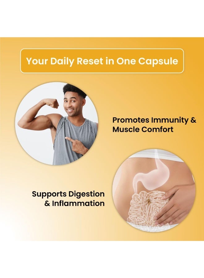 ZEROHARM Holistic Curcumin Capsules 1350mg | 95% Curcuminoids with Piperine & Black Pepper | High Absorption Turmeric Curcumin Supplement for Joint, Immunity & Inflammation Support | 90 Capsules - Image 3