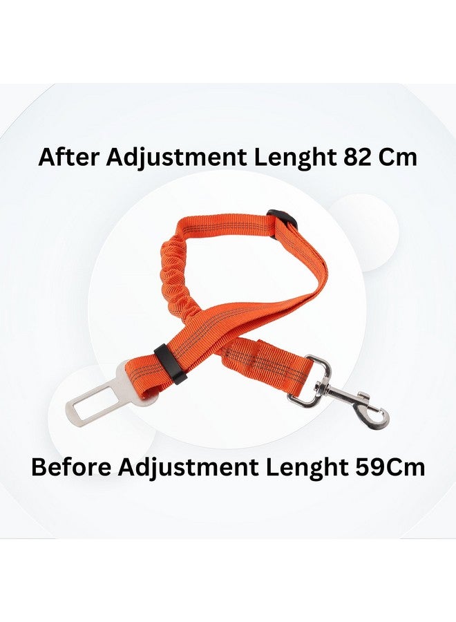 مجموعة سفر للحيوانات الأليفة للكلاب الصغيرة والمتوسطة الحجم | حزام مطاطي ووعاء قابل للطي (350 مل) (قد يختلف اللون) (مجموعة من 2) - Image 4