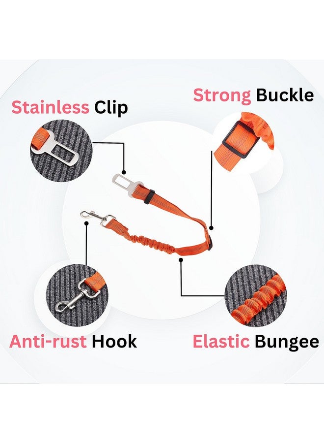 مجموعة سفر للحيوانات الأليفة للكلاب الصغيرة والمتوسطة الحجم | حزام مطاطي ووعاء قابل للطي (350 مل) (قد يختلف اللون) (مجموعة من 2) - Image 3