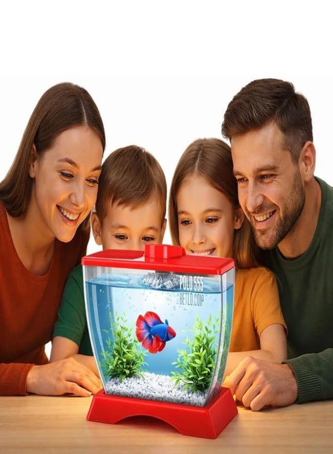 KSH STORE حوض سمك بيتا صغير من الأكريليك مع حامل لأصيص النباتات، شفاف، 23×12×15 سم، حوض سمك مكتبي لأسماك البيتا والأسماك الصغيرة، لون عشوائي - Image 3