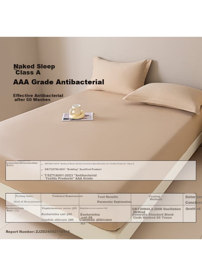 Amor Class A 100-count Long-staple Cotton Brushed Fitted Sheet - Fresh Tea Brown, 200x220cm, 30cm High - Image 1
