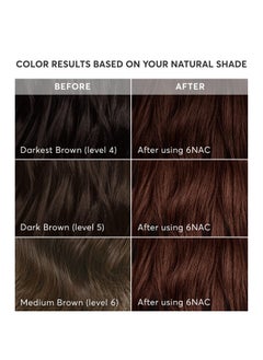 Madison Reed Madison Reed Radiant Hair Color Kit, Medium Chocolate Brown for 100% Gray Coverage, Ammonia-Free, 6NAC Verona Brown, Permanent Hair Dye, Pack of 1  - Image 3