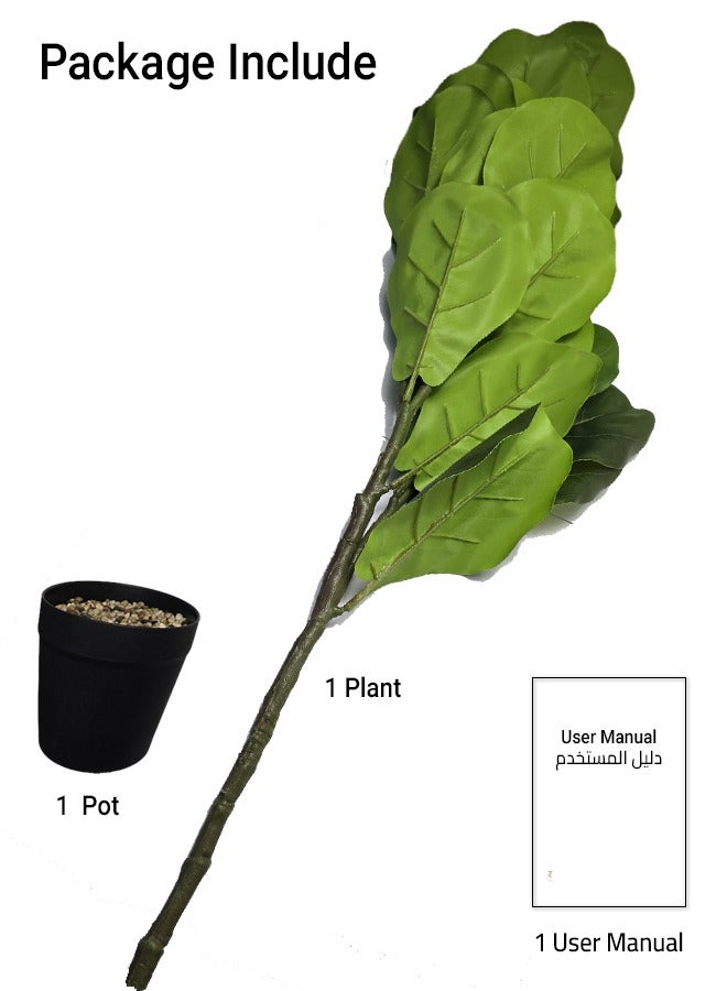 سويس كانتون نبات شجرة التين الاصطناعي في وعاء - ارتفاع 70 سم، ديكور داخلي واقعي، مثالي للمنزل والمكتب، خالي من الصيانة، أضف الأناقة والحيوية إلى أي مساحة - Image 5