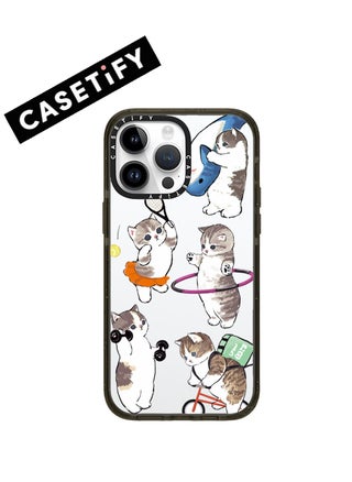Playful Cats on a Clear Background
