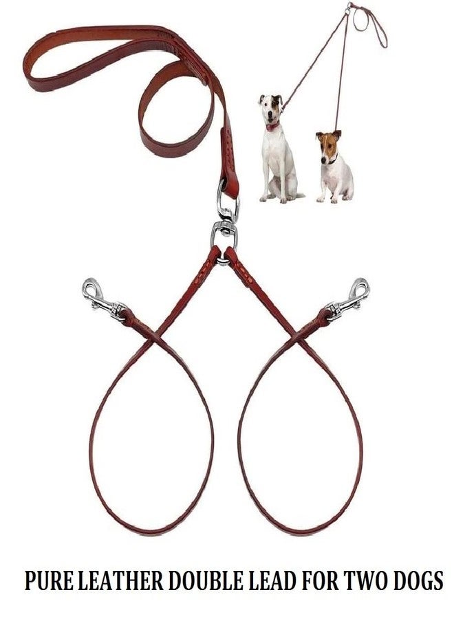 Hachiko:-Heavy Duty Double Leather Dog Leads Pet Leash for 2 Dogs(Brown) - Image 2