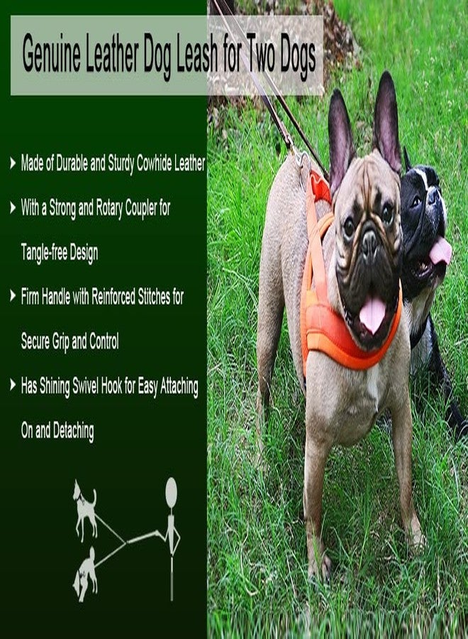 Hachiko:-Heavy Duty Double Leather Dog Leads Pet Leash for 2 Dogs(Brown) - Image 5