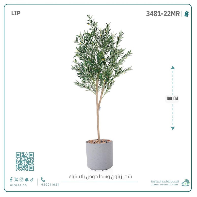Alrassi Artificial Olive Tree (Medium) with Cylindrical Plastic Planter 190 cm - Image 1
