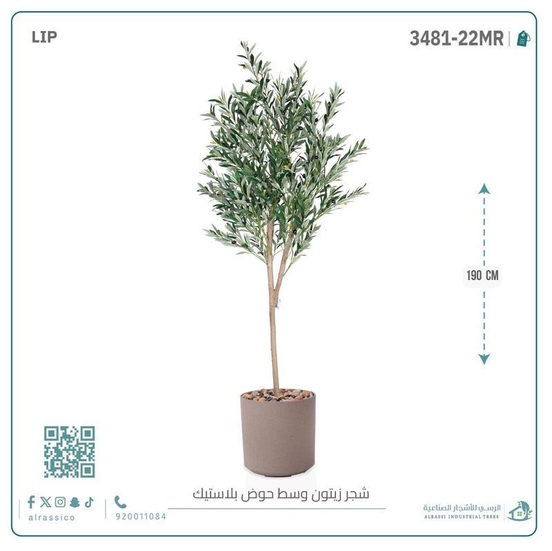 Alrassi Artificial Olive Tree (Medium) with Cylindrical Plastic Planter 190 cm - Image 2