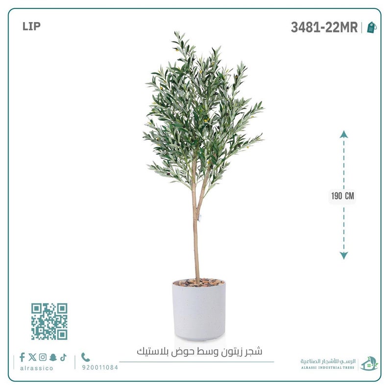 Alrassi Artificial Olive Tree (Medium) with Cylindrical Plastic Planter 190 cm - Image 3