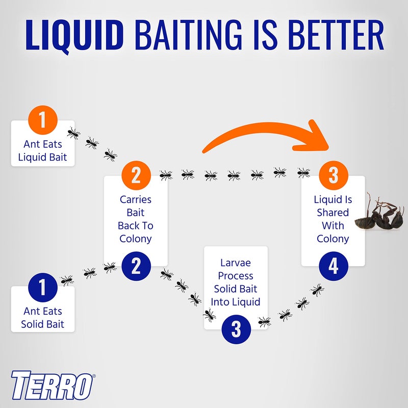 TERRO Liquid Ant Killer ll - T200, 2 oz - Ant Bait and Killer - Effective Insect Control for Indoors - Eliminate Colonies and Future Infestations - Image 5