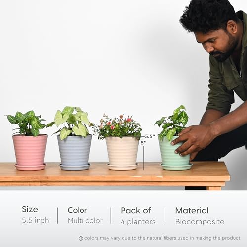 Eha Set of 4 Earth-Friendly Linea 5.5" Pots for Plants | Bamboo Based Plant Pots | UV Protected | Flower Pot for Indoor, Home Decor, Outdoor, Balcony & Garden | Multi-Light - Image 2