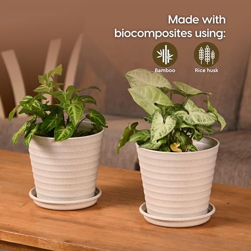 Eha Set of 4 Earth-Friendly Linea 5.5" Pots for Plants | Bamboo Based Plant Pots | UV Protected | Flower Pot for Indoor, Home Decor, Outdoor, Balcony & Garden | Multi-Light - Image 3
