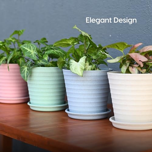 Eha Set of 4 Earth-Friendly Linea 5.5" Pots for Plants | Bamboo Based Plant Pots | UV Protected | Flower Pot for Indoor, Home Decor, Outdoor, Balcony & Garden | Multi-Light - Image 5