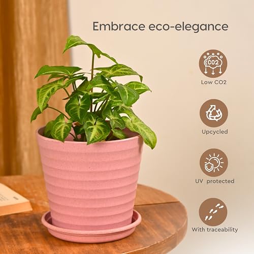 Eha Set of 4 Earth-Friendly Linea 5.5" Pots for Plants | Bamboo Based Plant Pots | UV Protected | Flower Pot for Indoor, Home Decor, Outdoor, Balcony & Garden | Multi-Light - Image 4