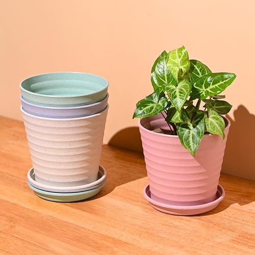 Eha Set of 4 Earth-Friendly Linea 5.5" Pots for Plants | Bamboo Based Plant Pots | UV Protected | Flower Pot for Indoor, Home Decor, Outdoor, Balcony & Garden | Multi-Light - Image 1