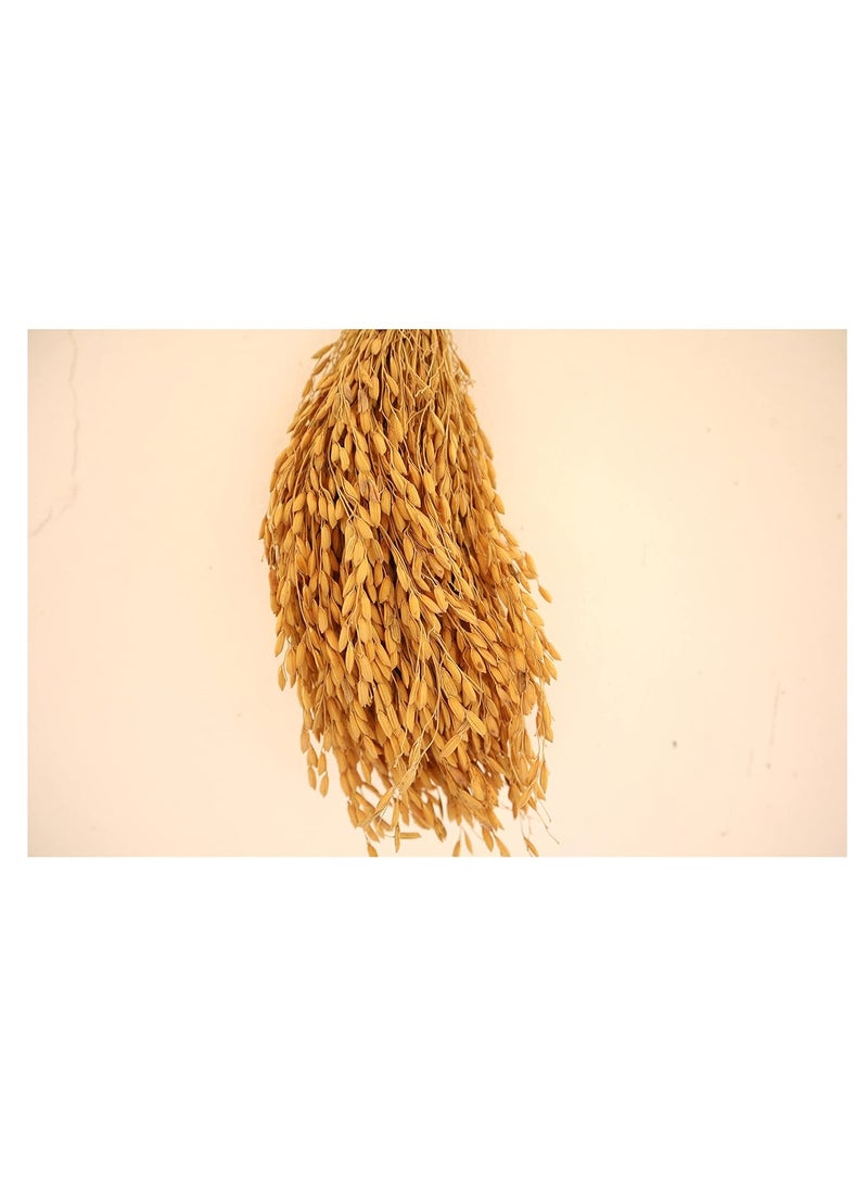 Natural Paddy Bunch125 Gram Natural Paddy Hanging