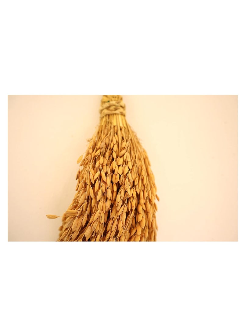 Natural Paddy Bunch125 Gram Natural Paddy Hanging