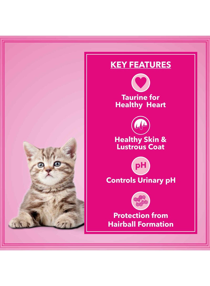 Let's Bite Active Kitten Dry Cat Food  Ocean Fish - Image 3