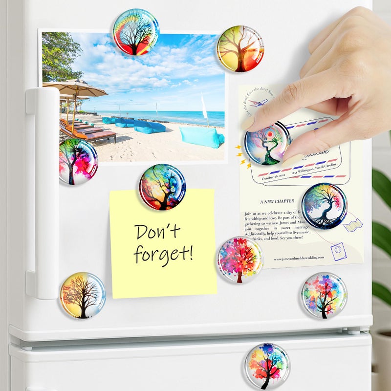 FINDMAG Glass Fridge Magnets, Strong Magnets Refrigerator, Decorative Magnet for Fridge, Festival Refrigerator Magnet Cute for Office, Locker, Whiteboard, Home, Kitchen, Dorm Room, 12 Packs - Image 5