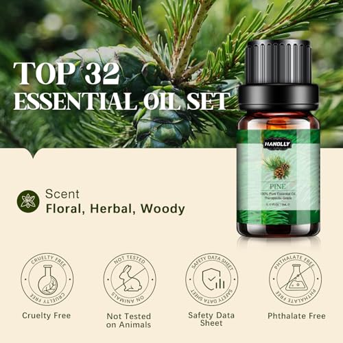 Hanolly Essential Oils Set, Aromatherapy Essential Oil Kit for Diffuser, Humidifier, Massage, Skin Care (32 x 5ml) - Eucalyptus, Lavender, Tea Tree, Peppermint, Lemongrass, Frankincense, Cinnamon, Sandalwood - Image 2
