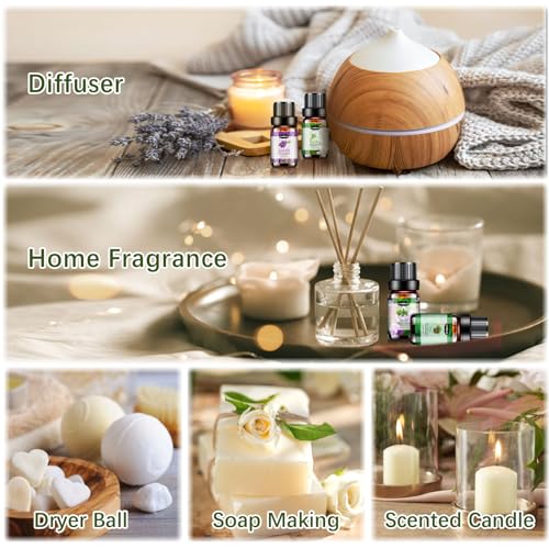 Hanolly Essential Oils Set, Aromatherapy Essential Oil Kit for Diffuser, Humidifier, Massage, Skin Care (32 x 5ml) - Eucalyptus, Lavender, Tea Tree, Peppermint, Lemongrass, Frankincense, Cinnamon, Sandalwood - Image 5