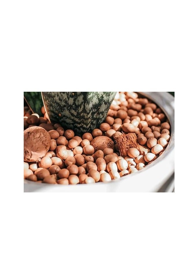 حصى هيدرو | كريات طينية | مثالي لرطوبة التربة والتهوية 1 كغ - Image 3