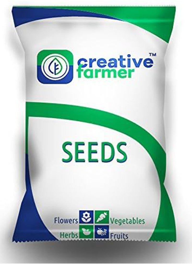 GGOOT - Flower Seeds : Corn Flower  Frosty Mixed Flower Seeds Hybrid for Kitchen/Terrace/Home Garden (1 Packets) Garden Plant Seeds - Image 1