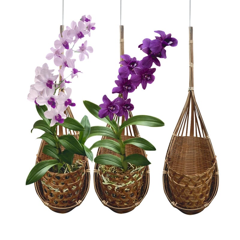 PANWA Handmade 100% Thai Bamboo Hanging Orchid Basket – 4 Inch Set of 3 - Image 3