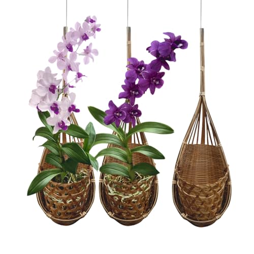 PANWA Handmade 100% Thai Bamboo Hanging Orchid Basket – 4 Inch Set of 3 - Image 1