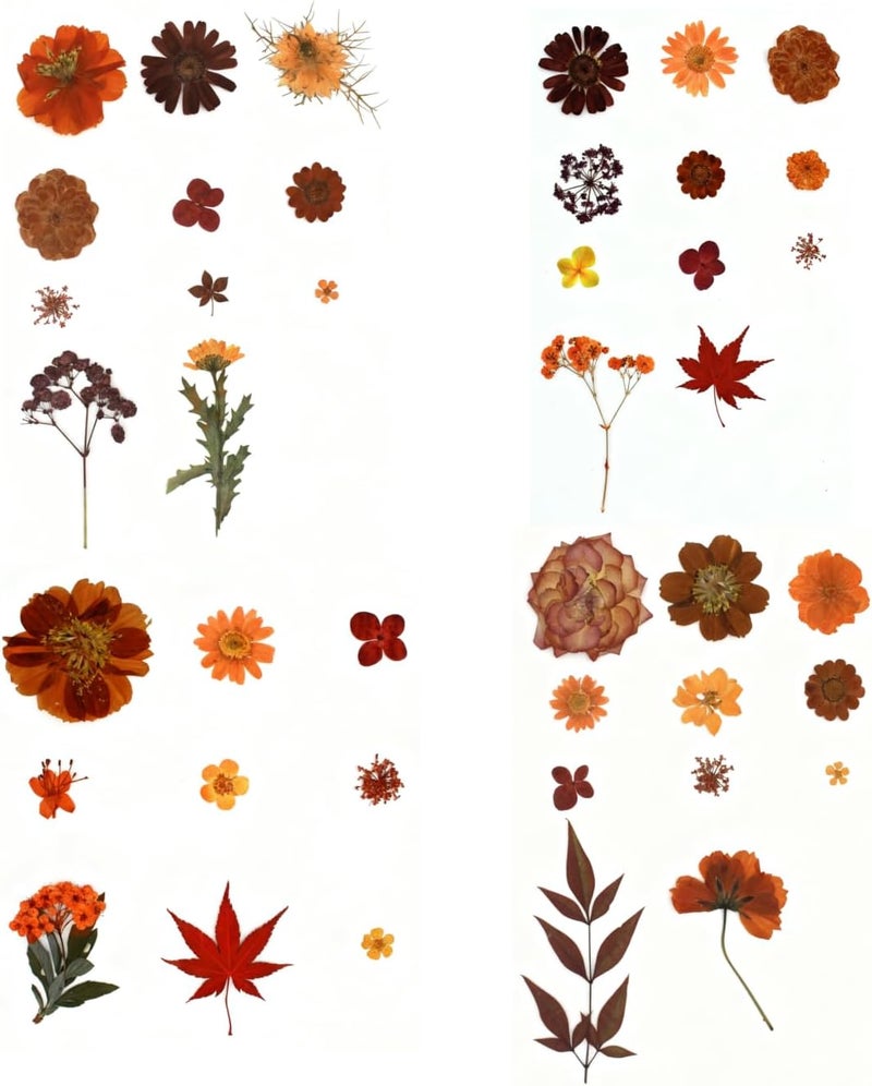 Buzidao 80Pcs Pressed Flowers, Fall Dried Flowers Natural Red Pressed Flowers Bulk for Resin Molds, Nail Art, Scrapbooking, Candle Holder, Jewelry Making, Real Dried Pressed Flowers DIY Crafts Kit - Image 5