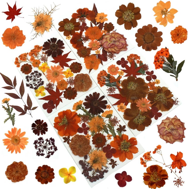 Buzidao 80Pcs Pressed Flowers, Fall Dried Flowers Natural Red Pressed Flowers Bulk for Resin Molds, Nail Art, Scrapbooking, Candle Holder, Jewelry Making, Real Dried Pressed Flowers DIY Crafts Kit - Image 1