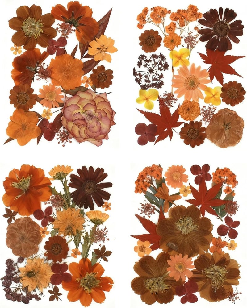 Buzidao 80Pcs Pressed Flowers, Fall Dried Flowers Natural Red Pressed Flowers Bulk for Resin Molds, Nail Art, Scrapbooking, Candle Holder, Jewelry Making, Real Dried Pressed Flowers DIY Crafts Kit - Image 2