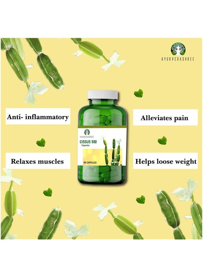 AYURVEDASHREE Asthishrunkala Powder Capsules Cissus quadrangularis 90 Capsules 500mg - Image 3