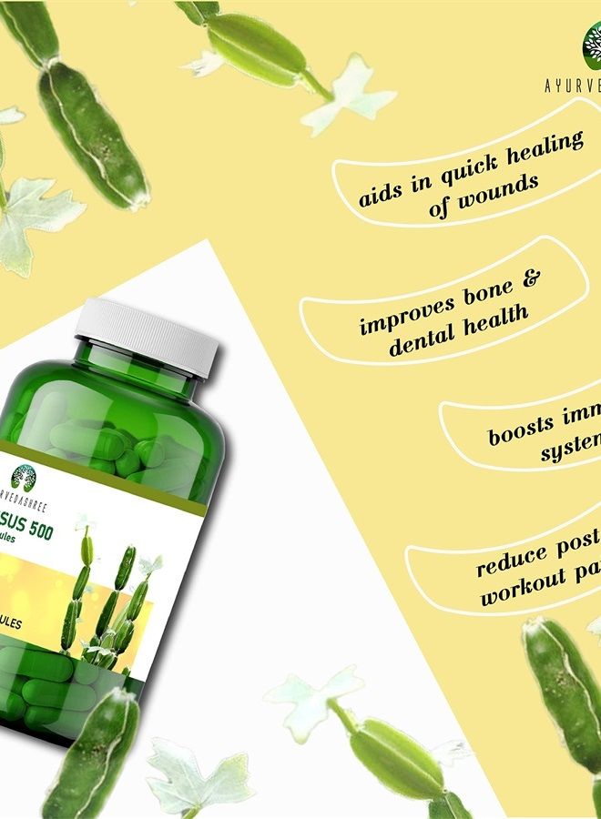 AYURVEDASHREE Asthishrunkala Powder Capsules Cissus quadrangularis 90 Capsules 500mg - Image 2