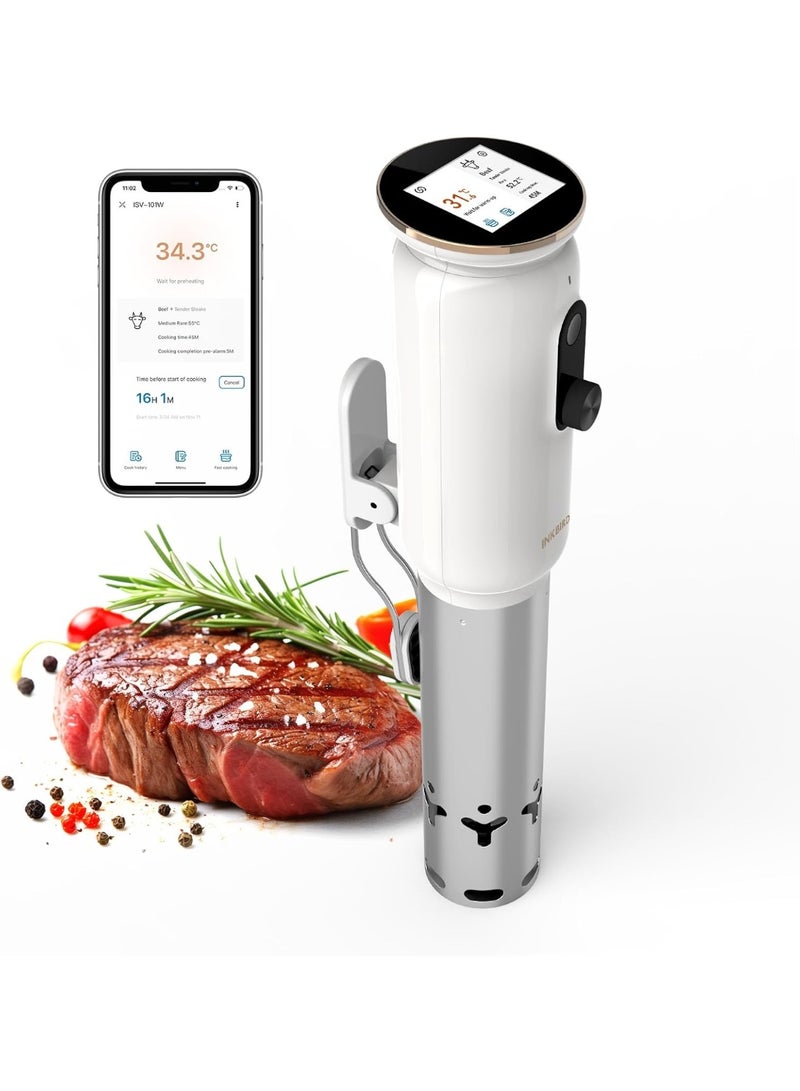 إنك بيرد سو فيديو - Image 1