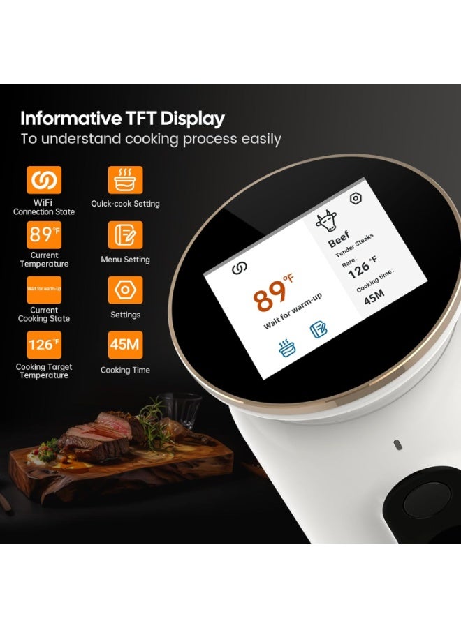 إنك بيرد سو فيديو - Image 3