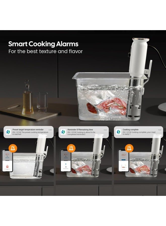 إنك بيرد سو فيديو - Image 5