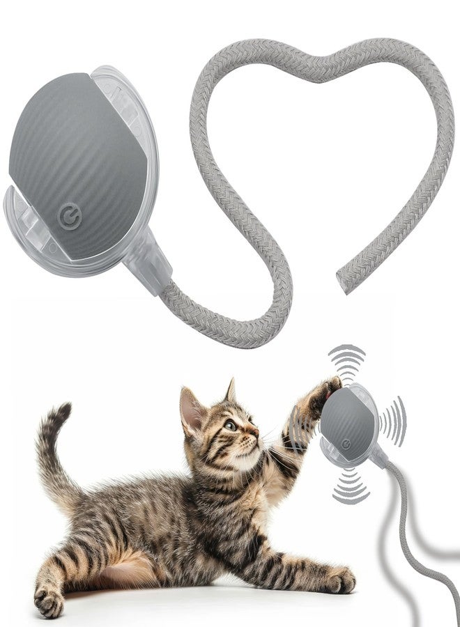 AebDerp Interactive Cat Dog Toy Ball: Indoor Small Automatic Moving Smart Rolling Fun Pet Game with Led Light and String Tail for Motion Activated, Cute Kitten Puppy Present, Exercise Wheel Supplies (Grey) - Image 1