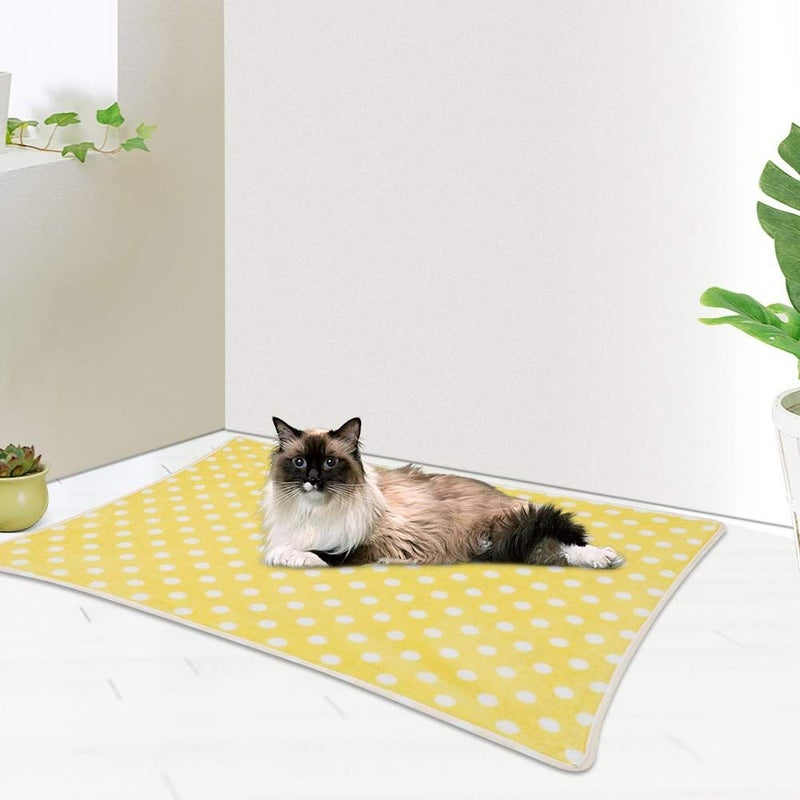 Soft Warm Blue Velvet Pet Mat Blanket 40x60cm Durable Comfort Ideal For Winter - Image 3