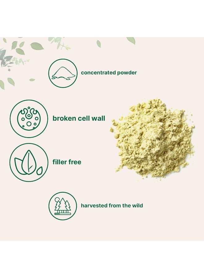 Micro Ingredients Pure Pine Pollen Powder, 6 Ounce, Wild Harvest and Broken Cell Wall, Supports Immune System Health, Boosts Energy, Antioxidant And Androgenic, No GMOs, Vegan Friendly - Image 3