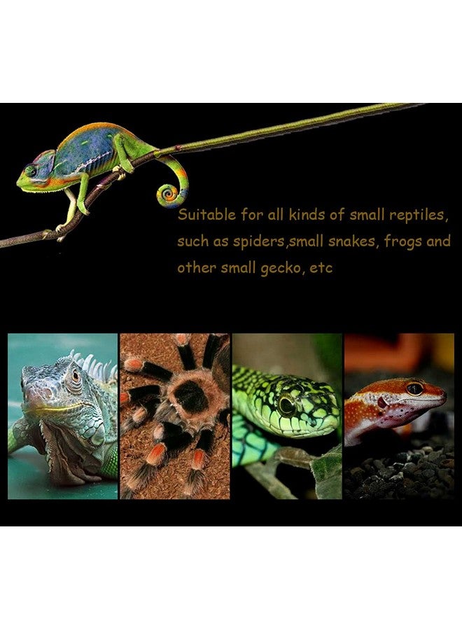 kathson 2PCS Reptile Feeding Box Portable Small Snake Terrarium Habitat Mini Pet Breeding Cage Hatching Container Transparent Gecko Houses for Small Frog Tarantula Spider Scorpion (White) - Image 4