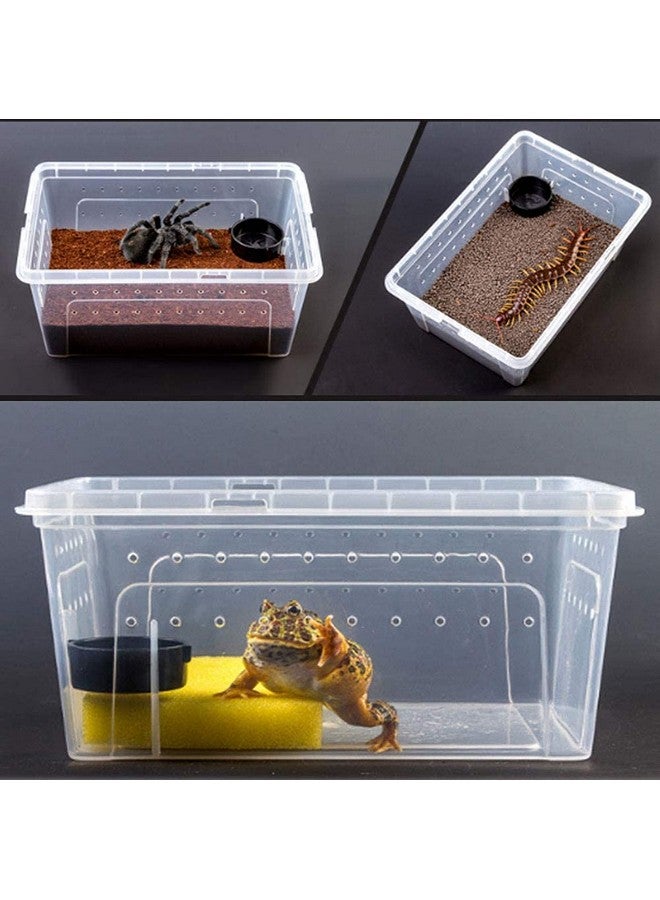 kathson 2PCS Reptile Feeding Box Portable Small Snake Terrarium Habitat Mini Pet Breeding Cage Hatching Container Transparent Gecko Houses for Small Frog Tarantula Spider Scorpion (White) - Image 3
