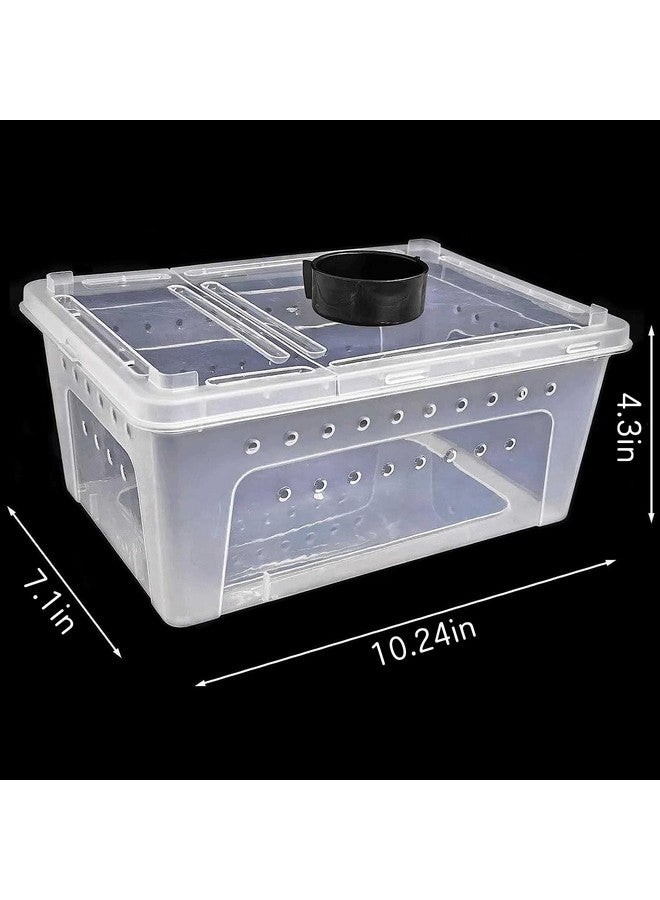 kathson 2PCS Reptile Feeding Box Portable Small Snake Terrarium Habitat Mini Pet Breeding Cage Hatching Container Transparent Gecko Houses for Small Frog Tarantula Spider Scorpion (White) - Image 5