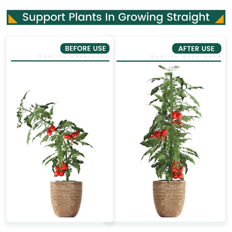 PROWORX 36 Inch 3 Ft Plant Support Garden Stakes 25 PCS, Sturdy Steel Plastic Coated Sticks for Outdoor Growing Climbing, Tomato, Trees, Cucumber, Beans - Image 3
