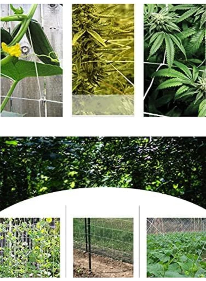 SYOSI Garden Plant Trellis Netting for Climbing Vines, Durable Polyester Plant Support Mesh, Reusable Growing Fence Barrier for Vegetables, Flower, Ideal for Home Garden & Greenhouse - Image 4