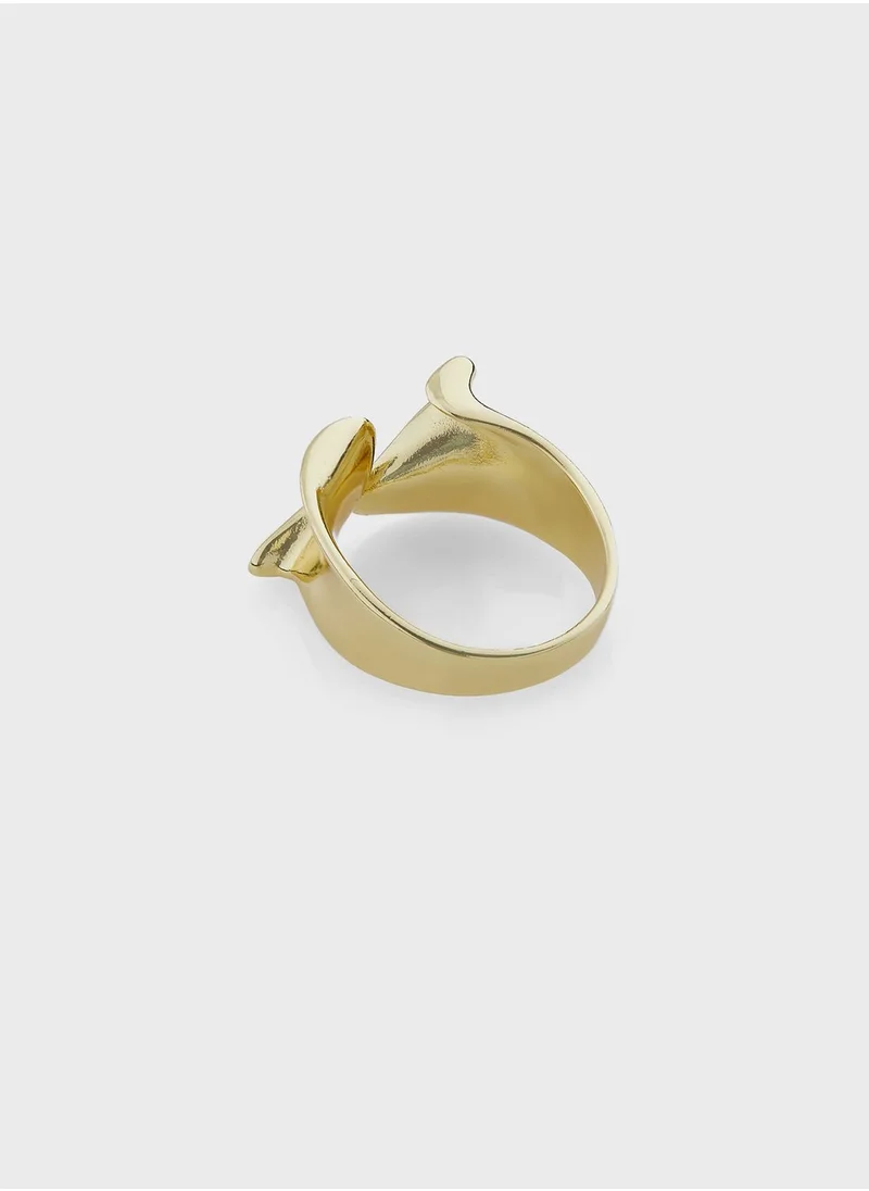 Ginger Modular Ring
