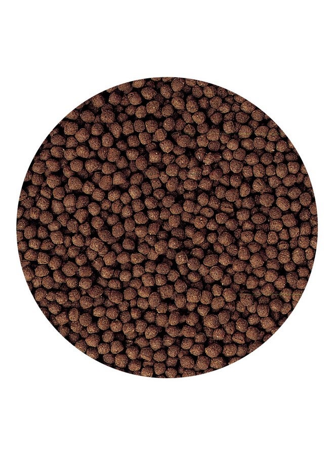 Hikari طعام سمك هيكاري سيكلد بيو-ذهب + كريات صغيرة عائمة لجميع مراحل الحياة، 57 جرام - Image 5